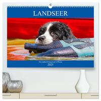 Landseer - Ein starker Freund auf 4 Pfoten (hochwertiger Premium Wandkalender 2025 DIN A2 quer), Kunstdruck in Hochglanz