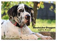 Deutsche Doggen - Sanfte Riesen (Wandkalender 2025 DIN A2 quer), CALVENDO Monatskalender