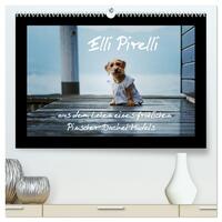 Elli Pirelli... aus dem Leben eines fröhlichen Pinscher-Dackel-Mädels (hochwertiger Premium Wandkalender 2025 DIN A2 quer), Kunstdruck in Hochglanz