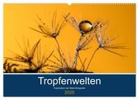 Tropfenwelten; Faszination der Makrofotografie (Wandkalender 2025 DIN A2 quer), CALVENDO Monatskalender