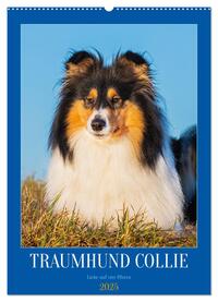 Traumhund Collie - Liebe auf vier Pfoten (Wandkalender 2025 DIN A2 hoch), CALVENDO Monatskalender