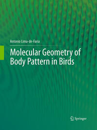 Molecular Geometry of Body Pattern in Birds