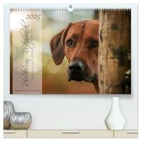 Rhodesian Ridgeback - Herzen auf vier Pfoten (hochwertiger Premium Wandkalender 2025 DIN A2 quer), Kunstdruck in Hochglanz