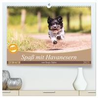 Spaß mit Havanesern (hochwertiger Premium Wandkalender 2025 DIN A2 quer), Kunstdruck in Hochglanz