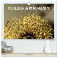 Pusteblumen im Morgentau (hochwertiger Premium Wandkalender 2025 DIN A2 quer), Kunstdruck in Hochglanz