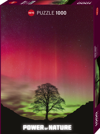 Sycamore Gap