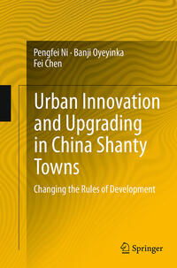 Urban Innovation and Upgrading in China Shanty Towns