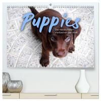 Puppies - Die niedlichsten Vierbeiner der Welt. (hochwertiger Premium Wandkalender 2025 DIN A2 quer), Kunstdruck in Hochglanz