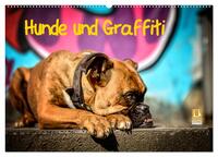 Hunde und Graffiti (Wandkalender 2025 DIN A2 quer), CALVENDO Monatskalender