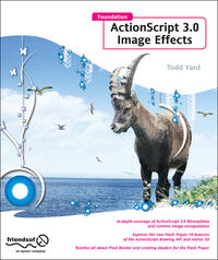 Foundation ActionScript 3.0 Image Effects