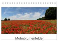 Mohnblumenfelder (Tischkalender 2025 DIN A5 quer), CALVENDO Monatskalender