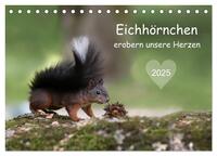 Eichhörnchen erobern unsere Herzen (Tischkalender 2025 DIN A5 quer), CALVENDO Monatskalender