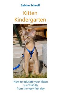 Kitten Kindergarten