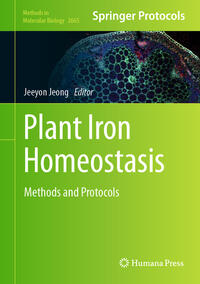 Plant Iron Homeostasis