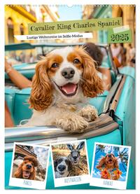 Cavalier King Charles Spaniel - Lustige Weltenreise im Selfie-Modus (Wandkalender 2025 DIN A2 hoch), CALVENDO Monatskalender