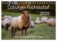 Coburger Fuchsschaf (Tischkalender 2025 DIN A5 quer), CALVENDO Monatskalender