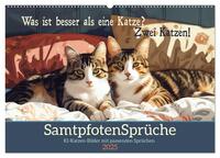 Samtpfotensprüche (Wandkalender 2025 DIN A2 quer), CALVENDO Monatskalender