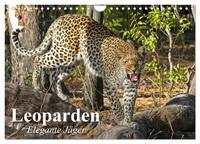 Leoparden. Elegante Jäger (Wandkalender 2025 DIN A4 quer), CALVENDO Monatskalender