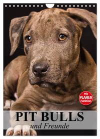 Pit Bulls und Freunde (Wandkalender 2025 DIN A4 hoch), CALVENDO Monatskalender