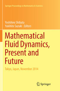 Mathematical Fluid Dynamics, Present and Future