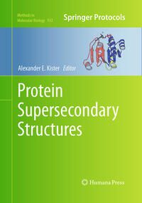 Protein Supersecondary Structures