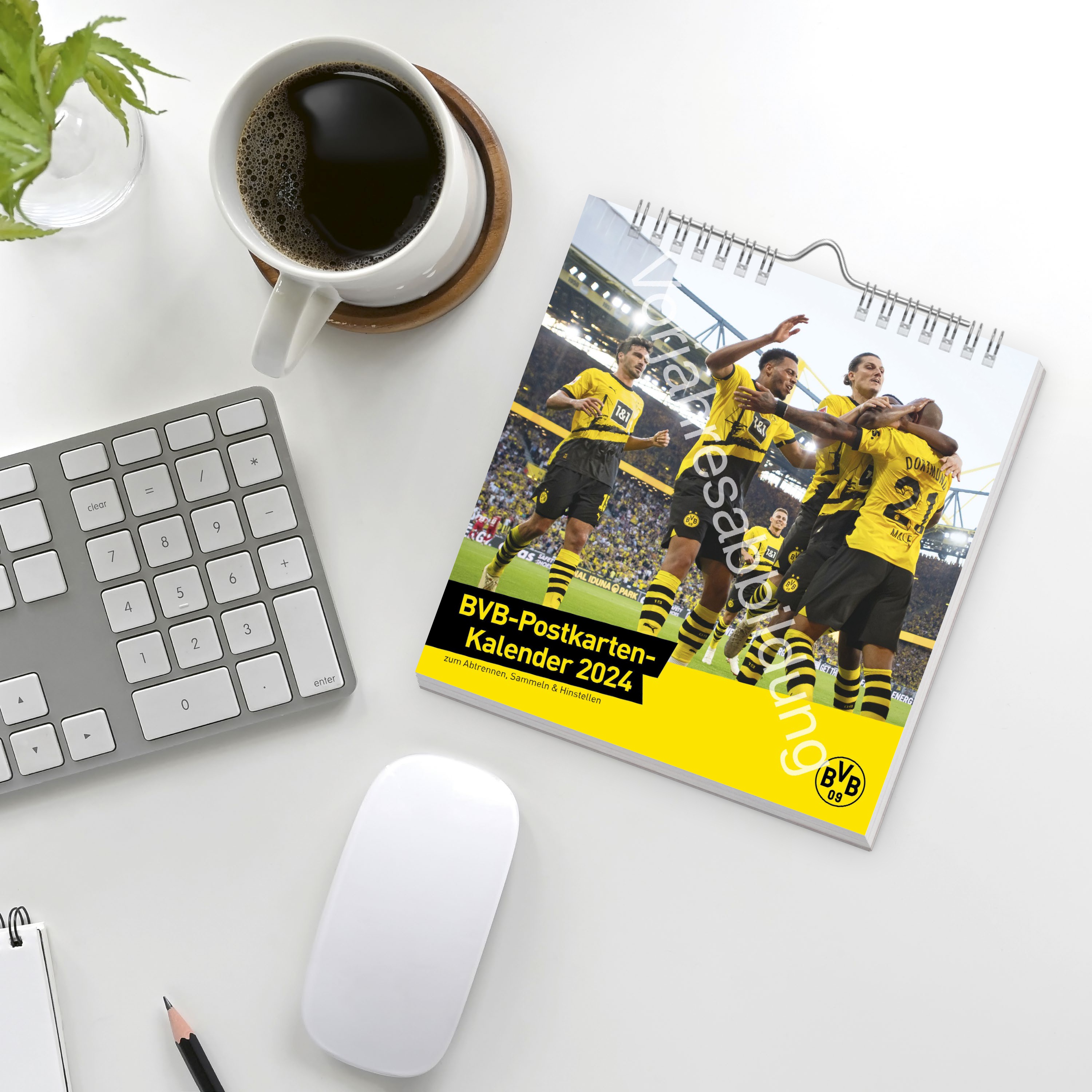 BVB Postkartenkalender 2025