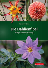 Die Dahlienfibel