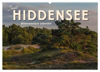 Insel Hiddensee - Wildromantisch unberührt (Wandkalender 2025 DIN A2 quer), CALVENDO Monatskalender