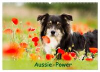 Aussie-Power (Wandkalender 2025 DIN A2 quer), CALVENDO Monatskalender