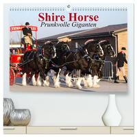 Shire Horse • Prunkvolle Giganten (hochwertiger Premium Wandkalender 2025 DIN A2 quer), Kunstdruck in Hochglanz