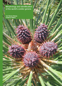 Morphology and identification of the world’s conifer genera