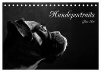 Hundeportraits Fine Art (Tischkalender 2025 DIN A5 quer), CALVENDO Monatskalender