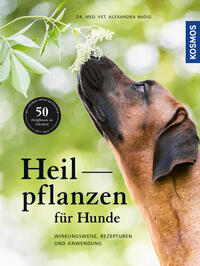 Heilpflanzen für Hunde