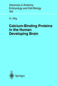 Calcium-Binding Proteins in the Human Developing Brain