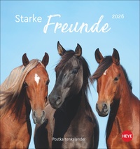 Pferde Postkartenkalender 2026 - Starke Freunde