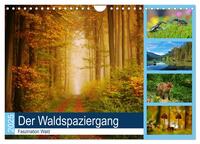 Der Waldspaziergang (Wandkalender 2025 DIN A4 quer), CALVENDO Monatskalender