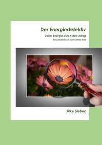 Der Energiedetektiv