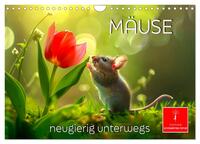 Mäuse - neugierig unterwegs (Wandkalender 2025 DIN A4 quer), CALVENDO Monatskalender