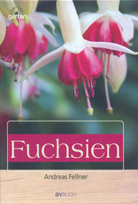 Fuchsien: Aufzucht und Pflege