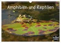 Amphibien und Reptilien (Wandkalender 2025 DIN A3 quer), CALVENDO Monatskalender