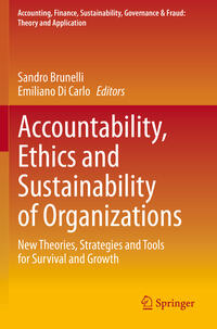 Accountability, Ethics and Sustainability of Organizations