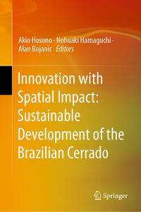 Innovation with Spatial Impact: Sustainable Development of the Brazilian Cerrado