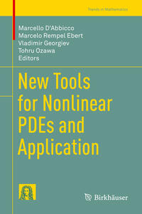 New Tools for Nonlinear PDEs and Application