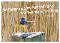 Naturparadies Nordstrand und Beltringharder Koog (Wandkalender 2025 DIN A2 quer), CALVENDO Monatskalender