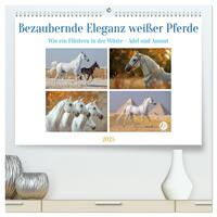 Bezaubernde Eleganz weißer Pferde (hochwertiger Premium Wandkalender 2025 DIN A2 quer), Kunstdruck in Hochglanz