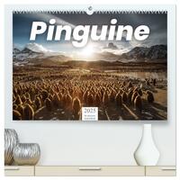 Pinguine - Die sympathischen Frack-Träger (hochwertiger Premium Wandkalender 2025 DIN A2 quer), Kunstdruck in Hochglanz