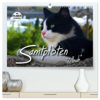 SAMTPFOTEN "fellnah" (hochwertiger Premium Wandkalender 2025 DIN A2 quer), Kunstdruck in Hochglanz