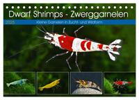 Dwarf Shrimps - Zwerggarnelen (Tischkalender 2025 DIN A5 quer), CALVENDO Monatskalender