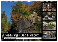 Vielfältiges Bad Harzburg (Wandkalender 2025 DIN A2 quer), CALVENDO Monatskalender