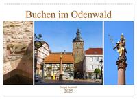 Buchen im Odenwald (Wandkalender 2025 DIN A2 quer), CALVENDO Monatskalender